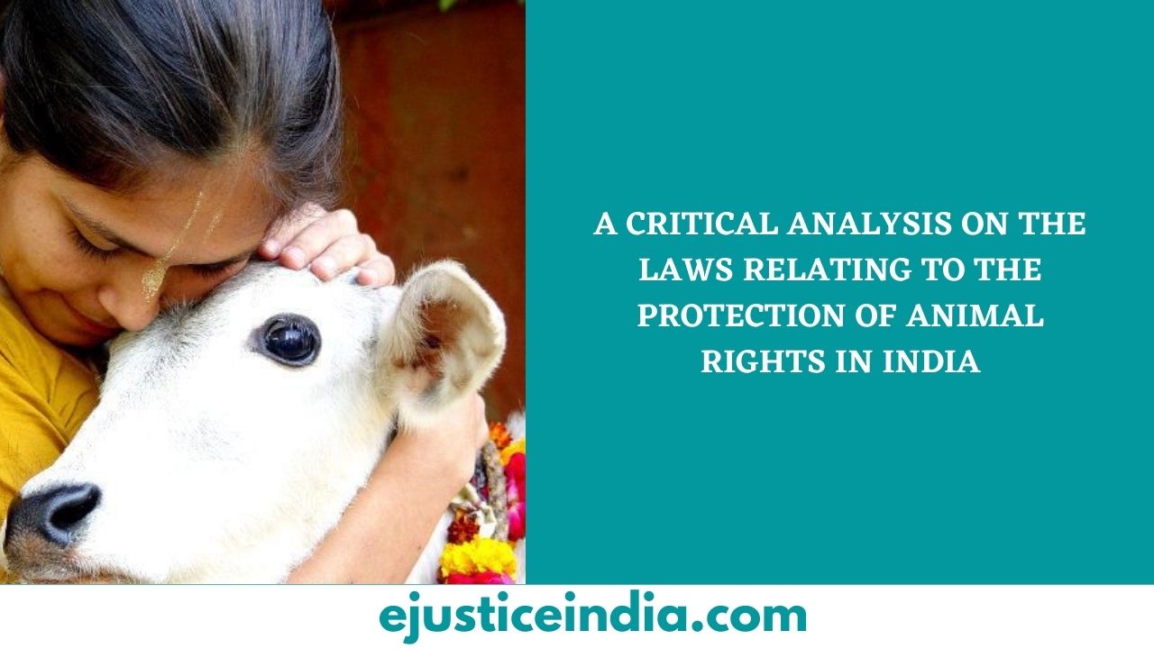 A CRITICAL ANALYSIS ON THE LAWS RELATING TO THE PROTECTION OF ANIMAL RIGHTS  IN INDIA